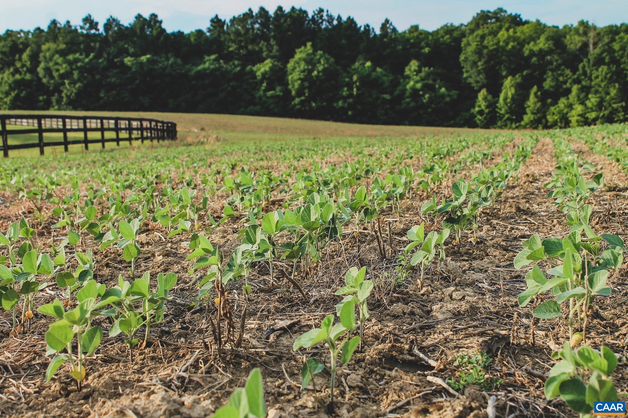 THE FARMS AT TURKEY RUN - Land