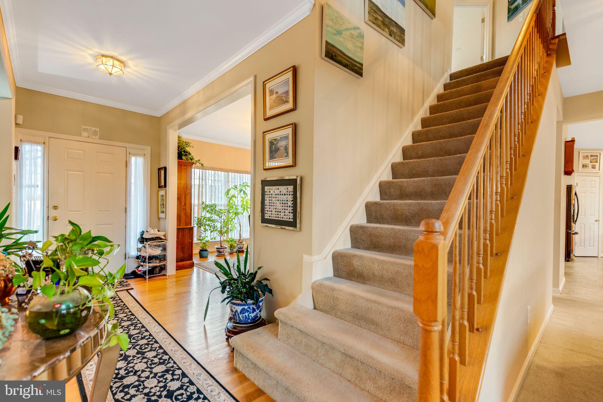 CABIN VILLAGE - Residential