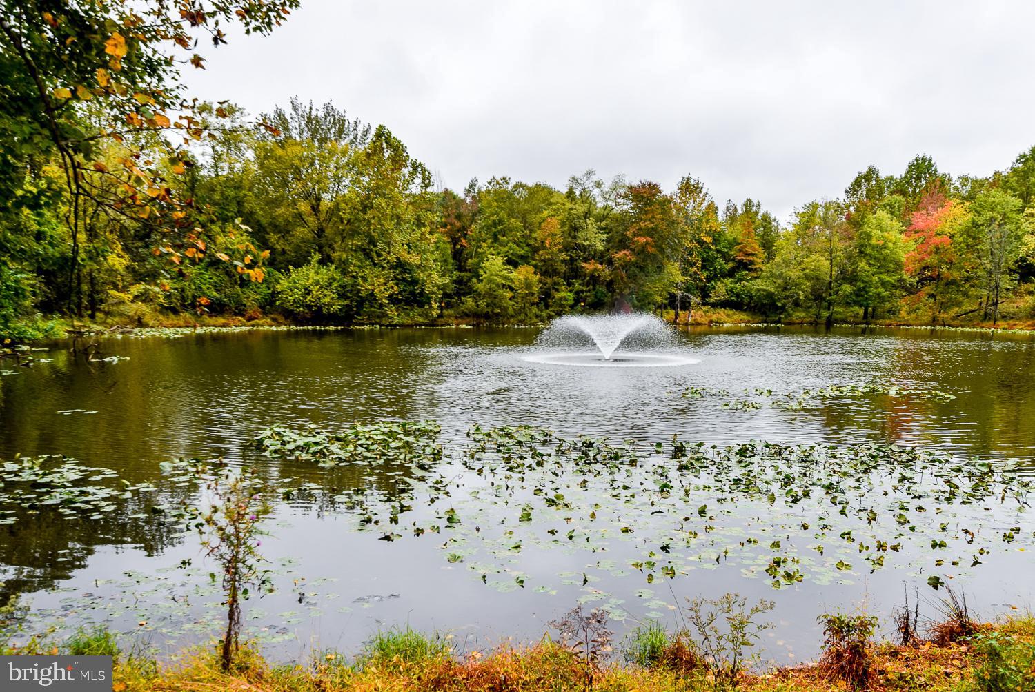 WOODMORE - Residential Lease