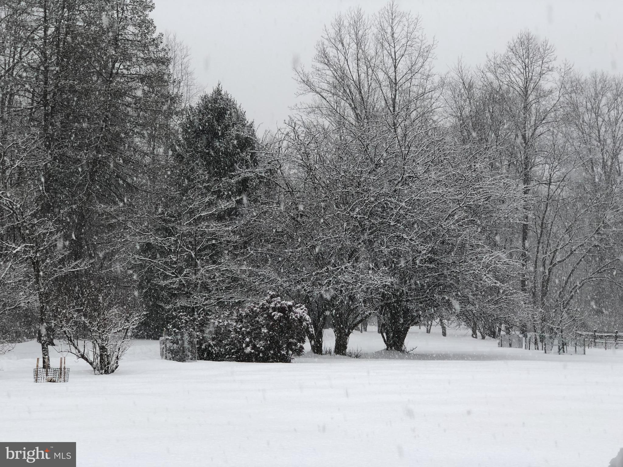 INDIAN SPRINGS - Residential