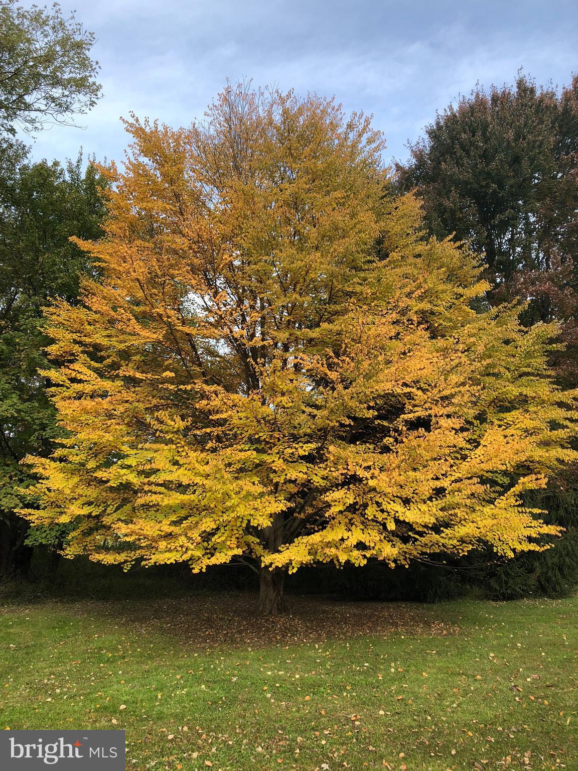 INDIAN SPRINGS - Residential