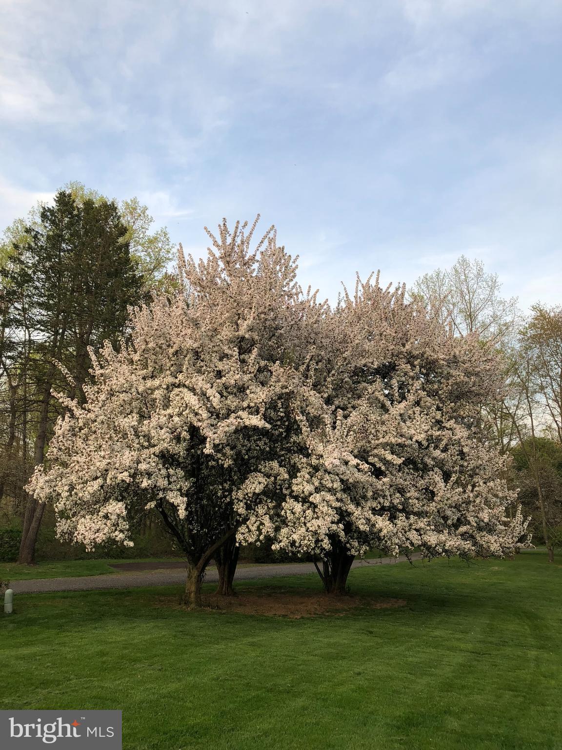 INDIAN SPRINGS - Residential