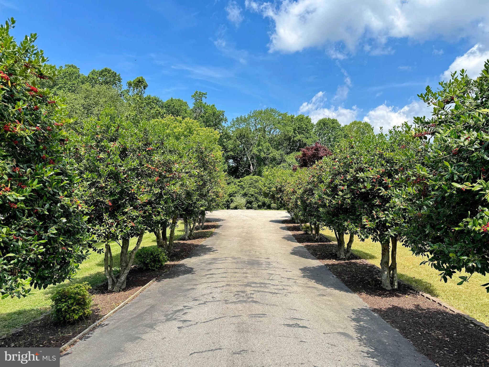 WILLIAMS WHARF PLANTATION - Residential