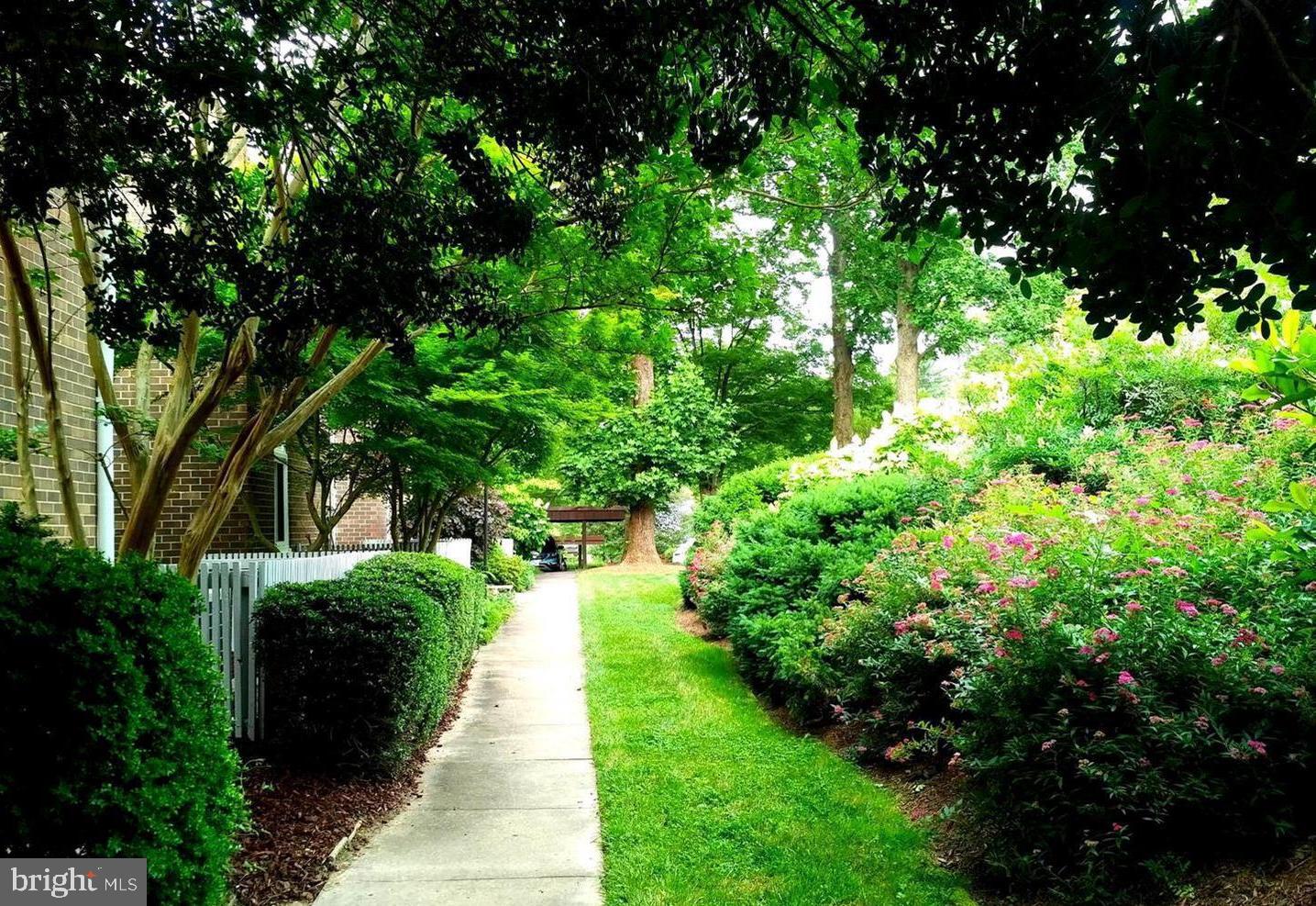 11408 LINKS DRIVE