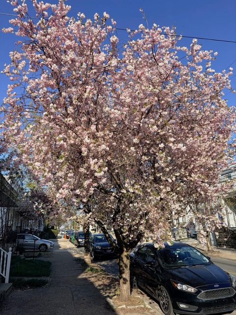 Photo of 450 Leverington Avenue, PHILADELPHIA, PA 19128 (MLS # PAPH2607000)