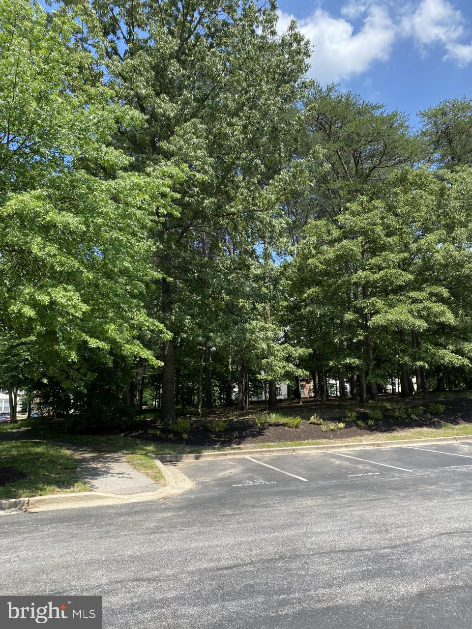 PINEY ORCHARD - Residential