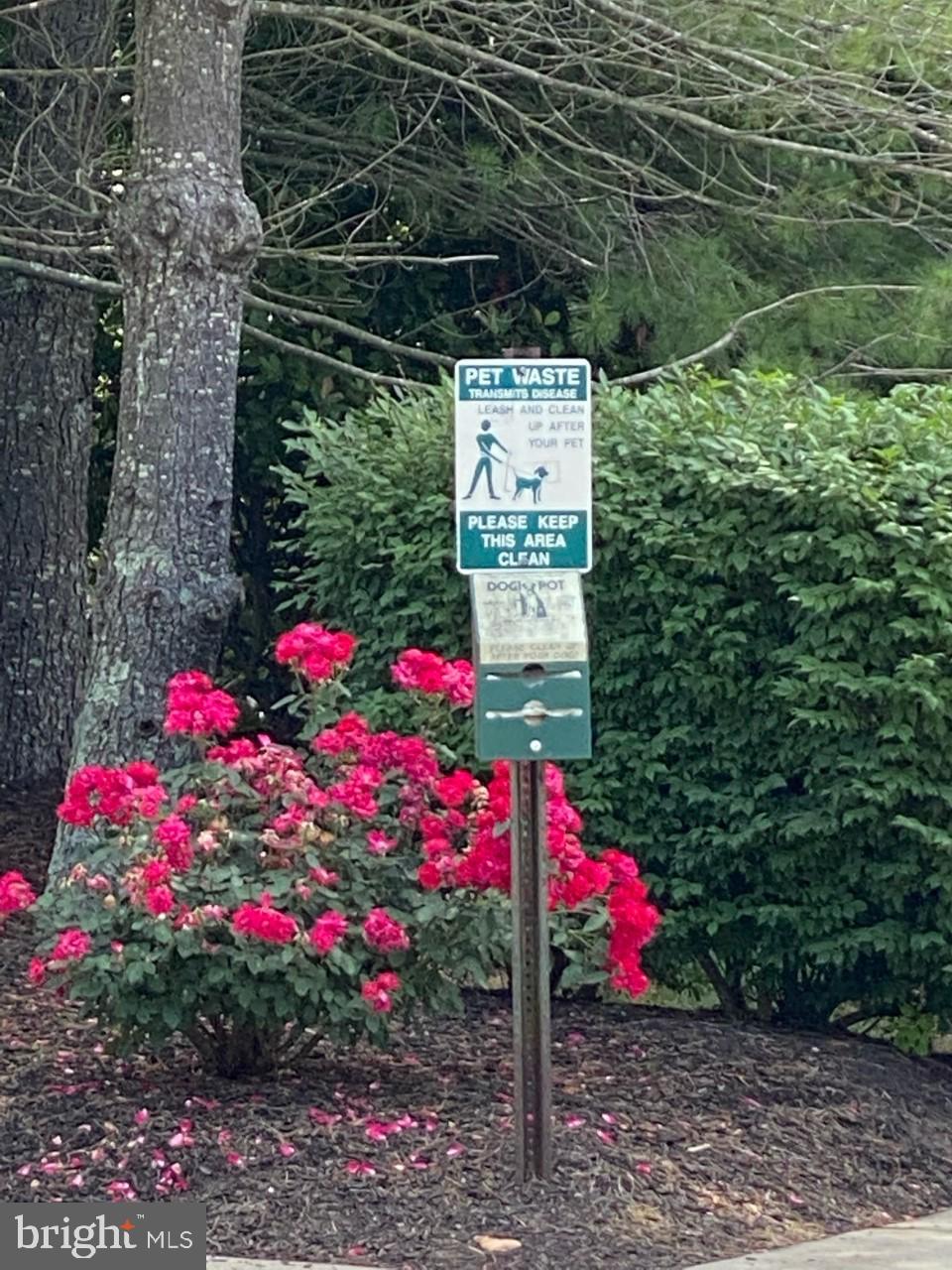 PINEY ORCHARD - Residential