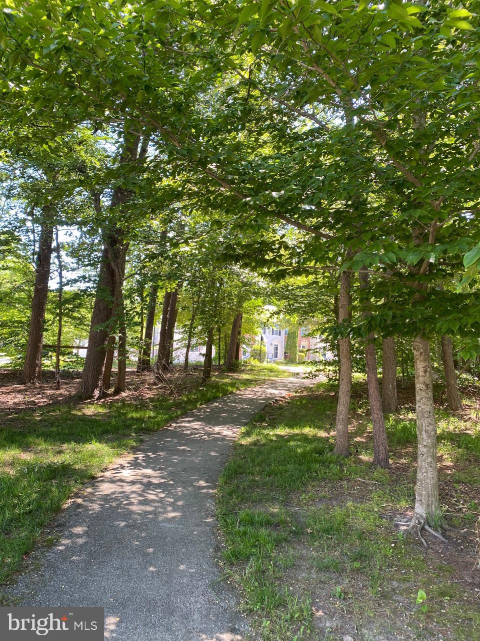 PINEY ORCHARD - Residential