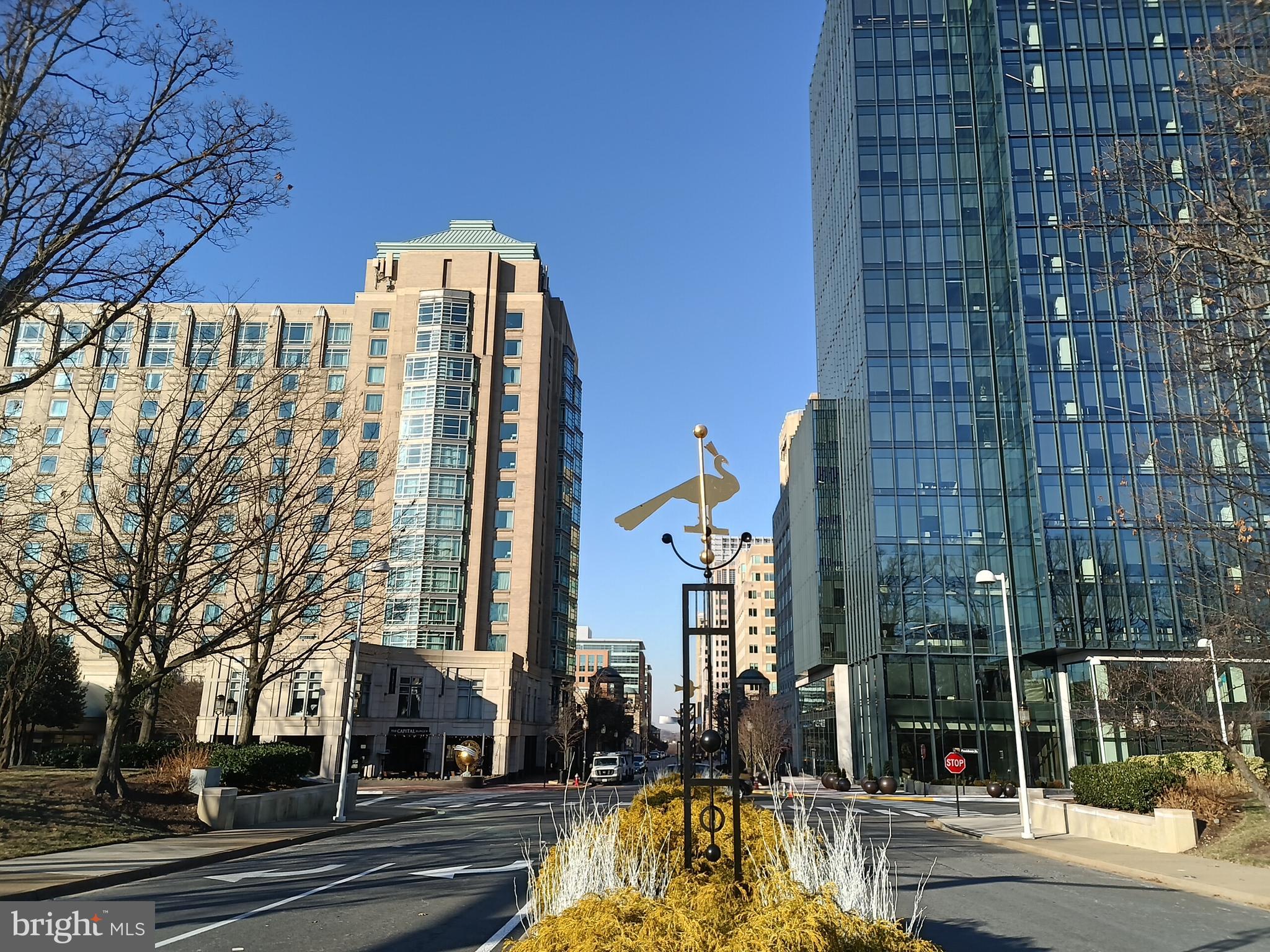 CARLTON HOUSE - Residential Lease