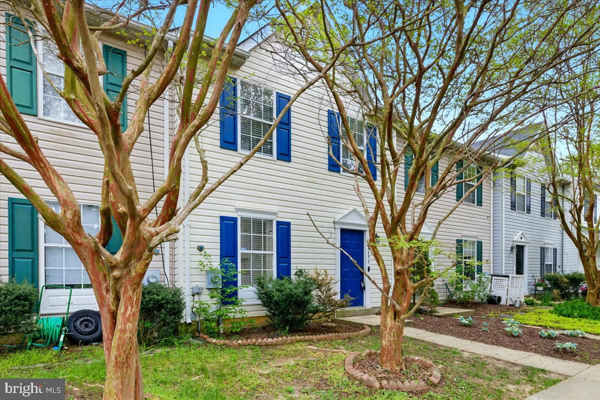 LAUREL GLEN - Residential