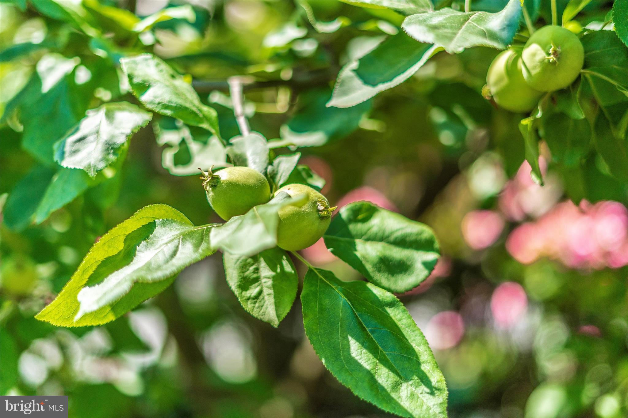 BAKER PARK - Residential