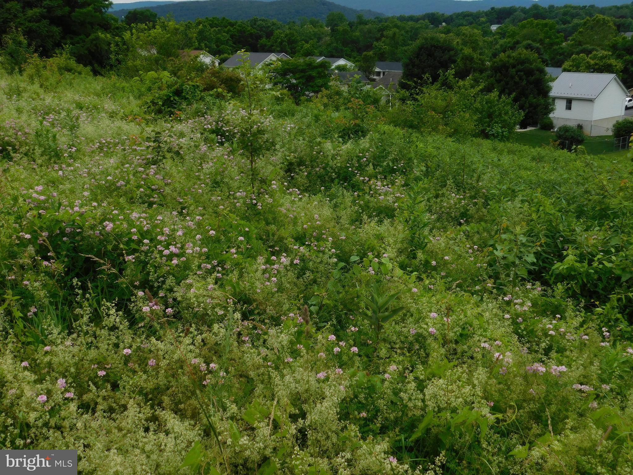 NONE AVAILABLE - Land