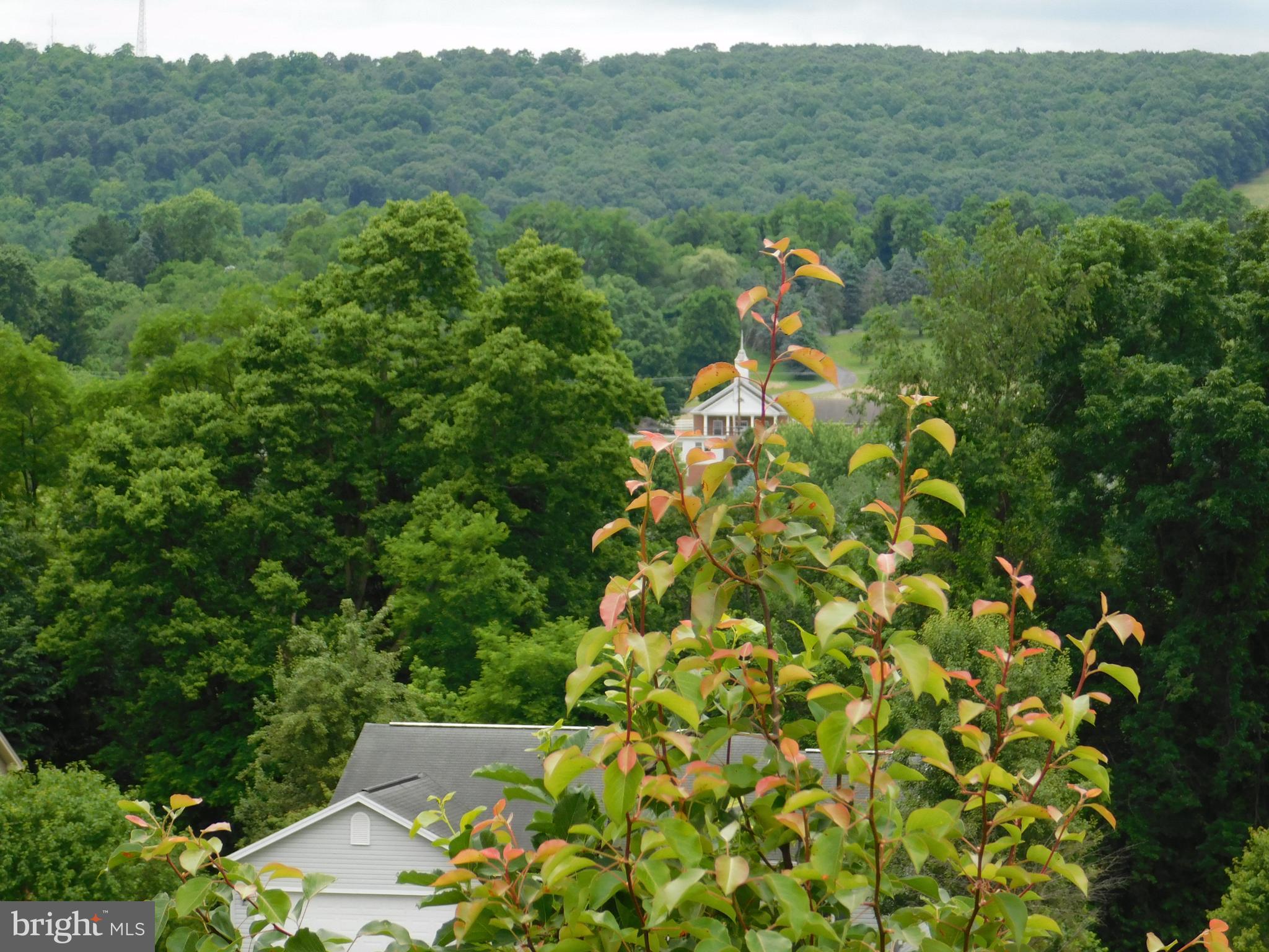 NONE AVAILABLE - Land