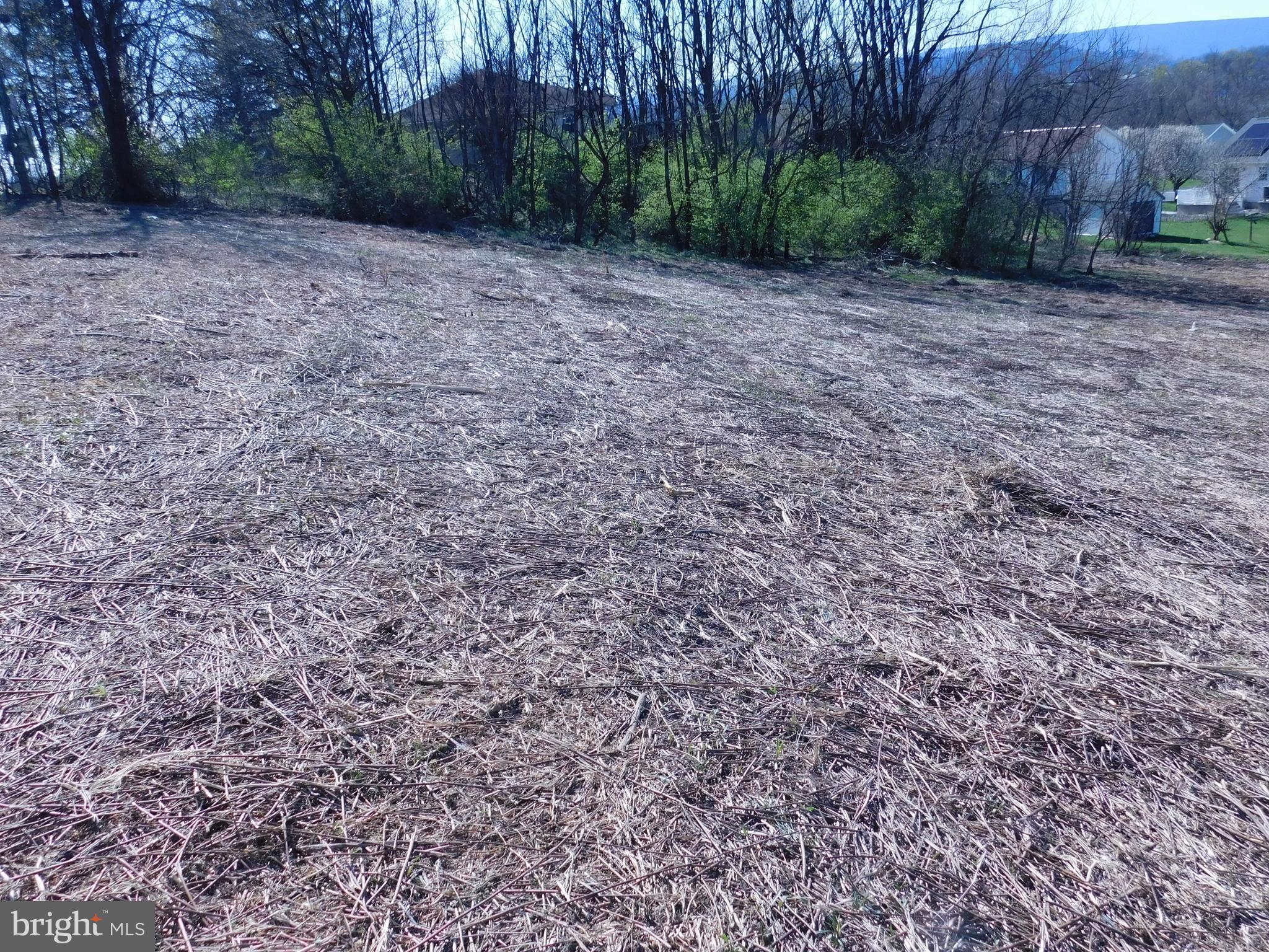 00 GINGER LANE (LOT 10)