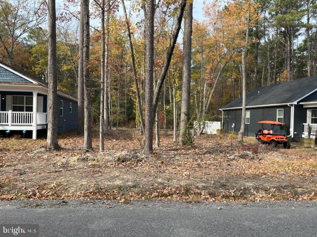 CLASSIC SHORES - Land