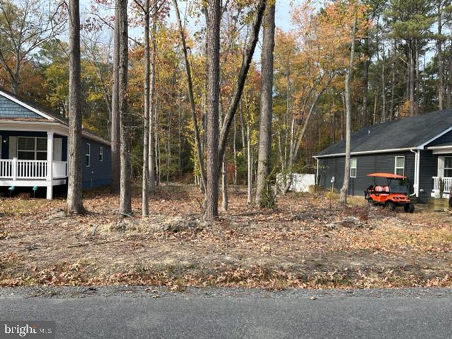 BUILDING LOT:  Sale includes Lot 3A3-124C-24 (25' x 100') and Lot 3A3-124C-25 (25' x 100') on 9th St. between Dwight and Euclid--when combined make one (50' x 100') building lot in the Town of Colonial Beach.  Buyer to verify availability of water and sewer at this location.  No tap fees have been paid.