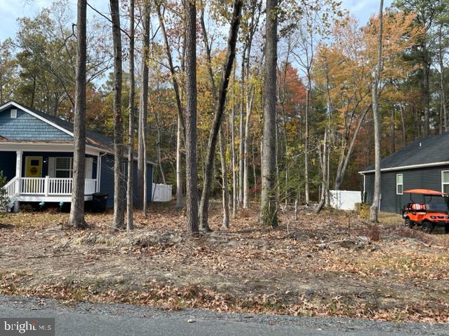 CLASSIC SHORES - Land