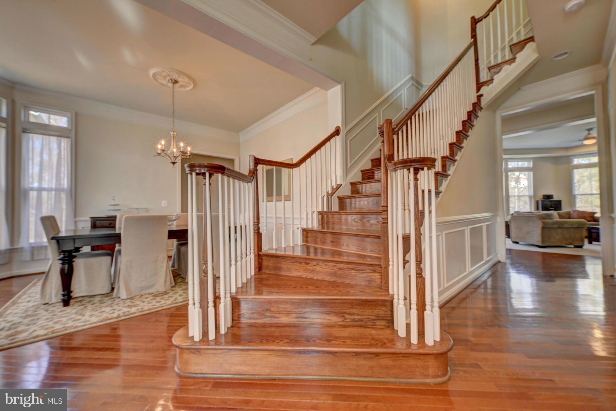 VIENNA ESTATES - Residential