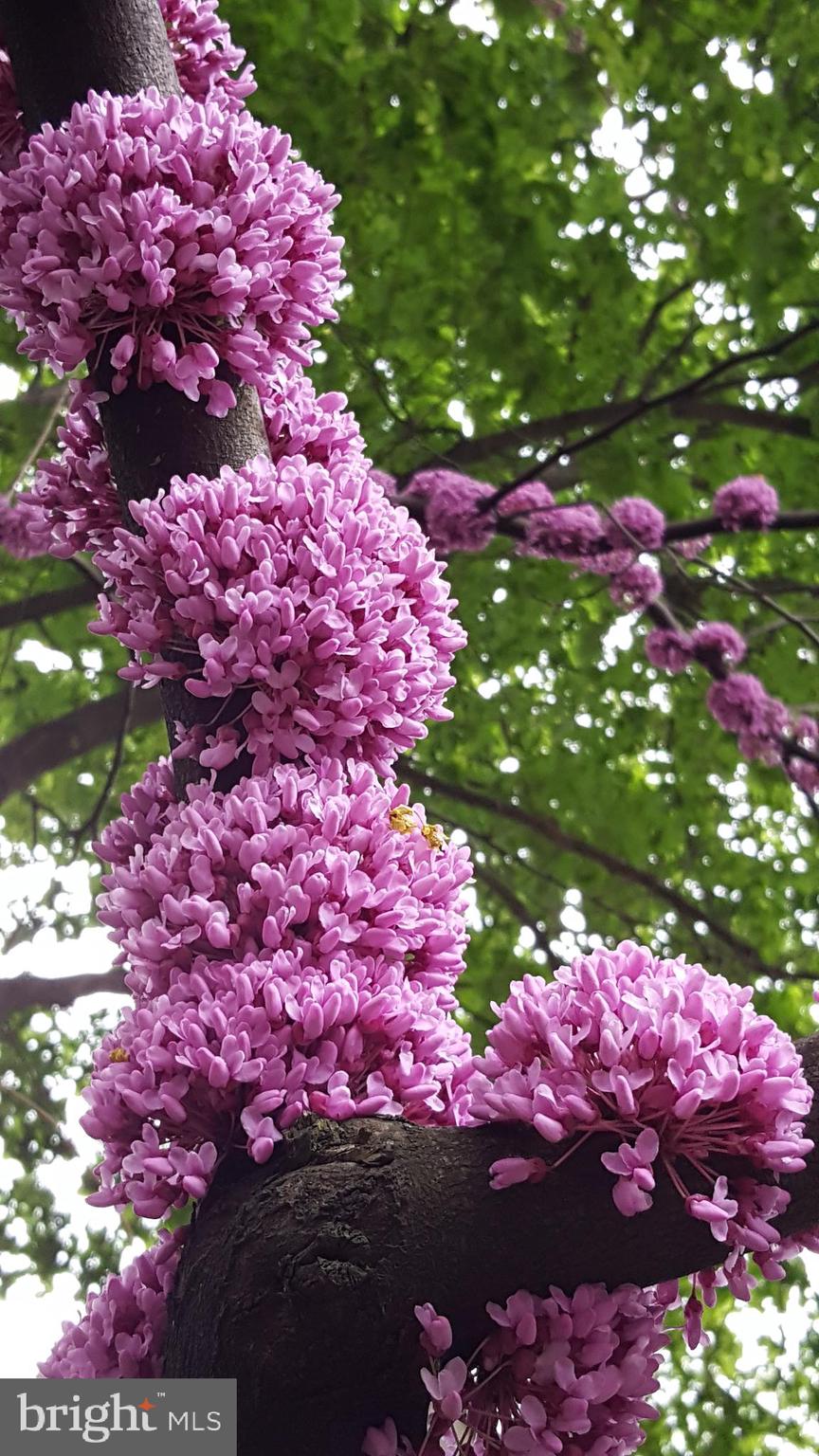 FLEETWOOD FARMS - Residential