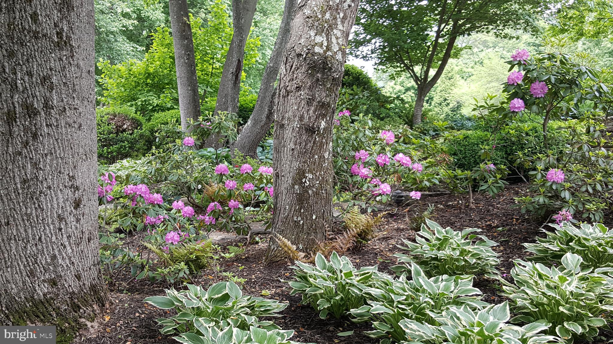 FLEETWOOD FARMS - Residential