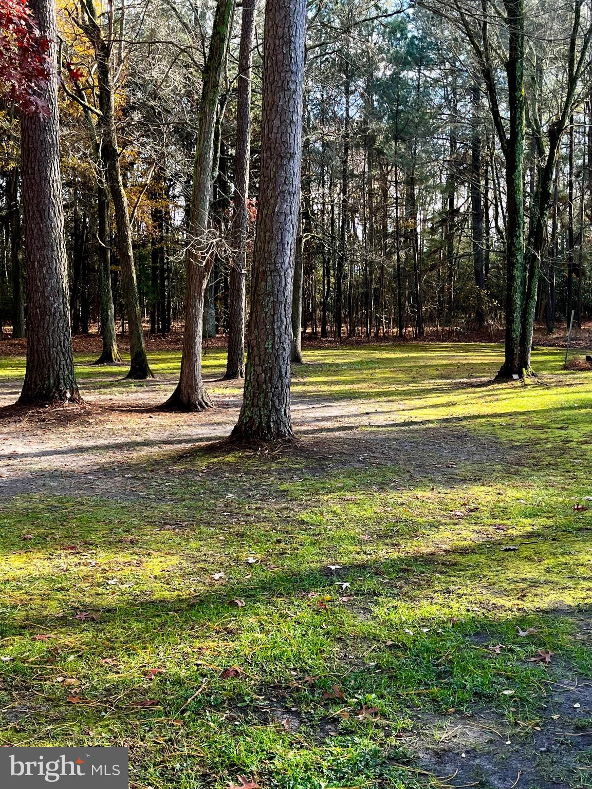 30695 FOXCHASE DRIVE