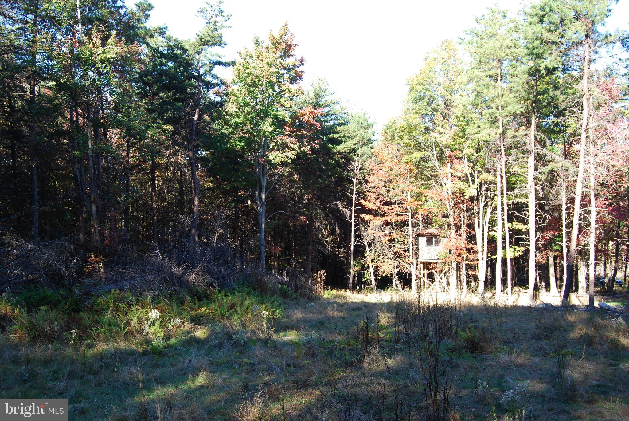 ASHTON WOODS PROPERTY OWNERS ASSOCIATION - Land