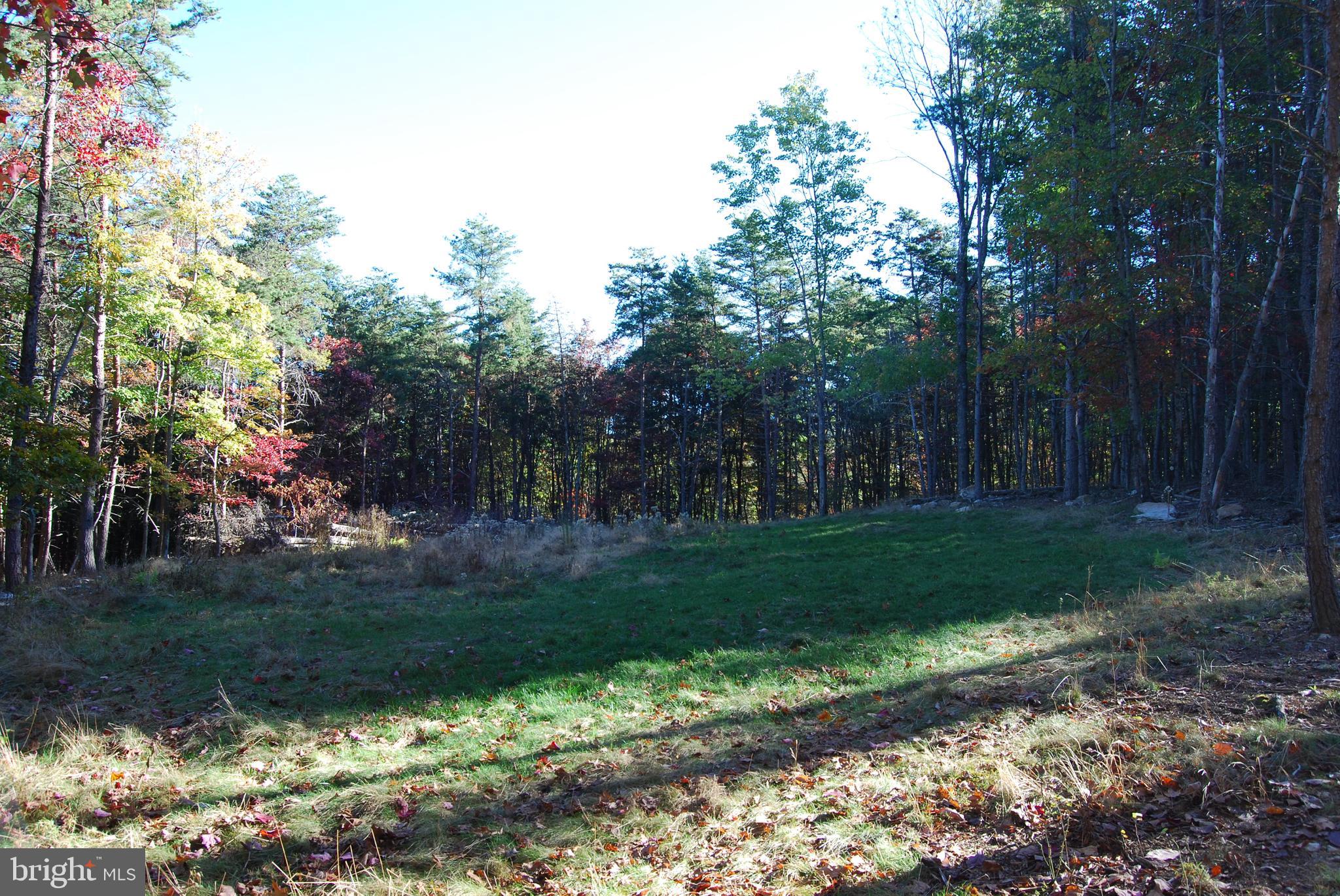 ASHTON WOODS PROPERTY OWNERS ASSOCIATION - Land