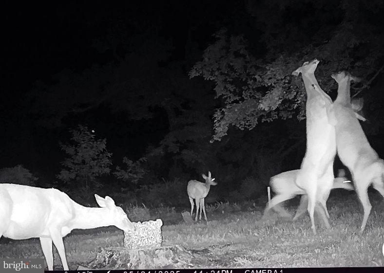 ASHTON WOODS PROPERTY OWNERS ASSOCIATION - Land