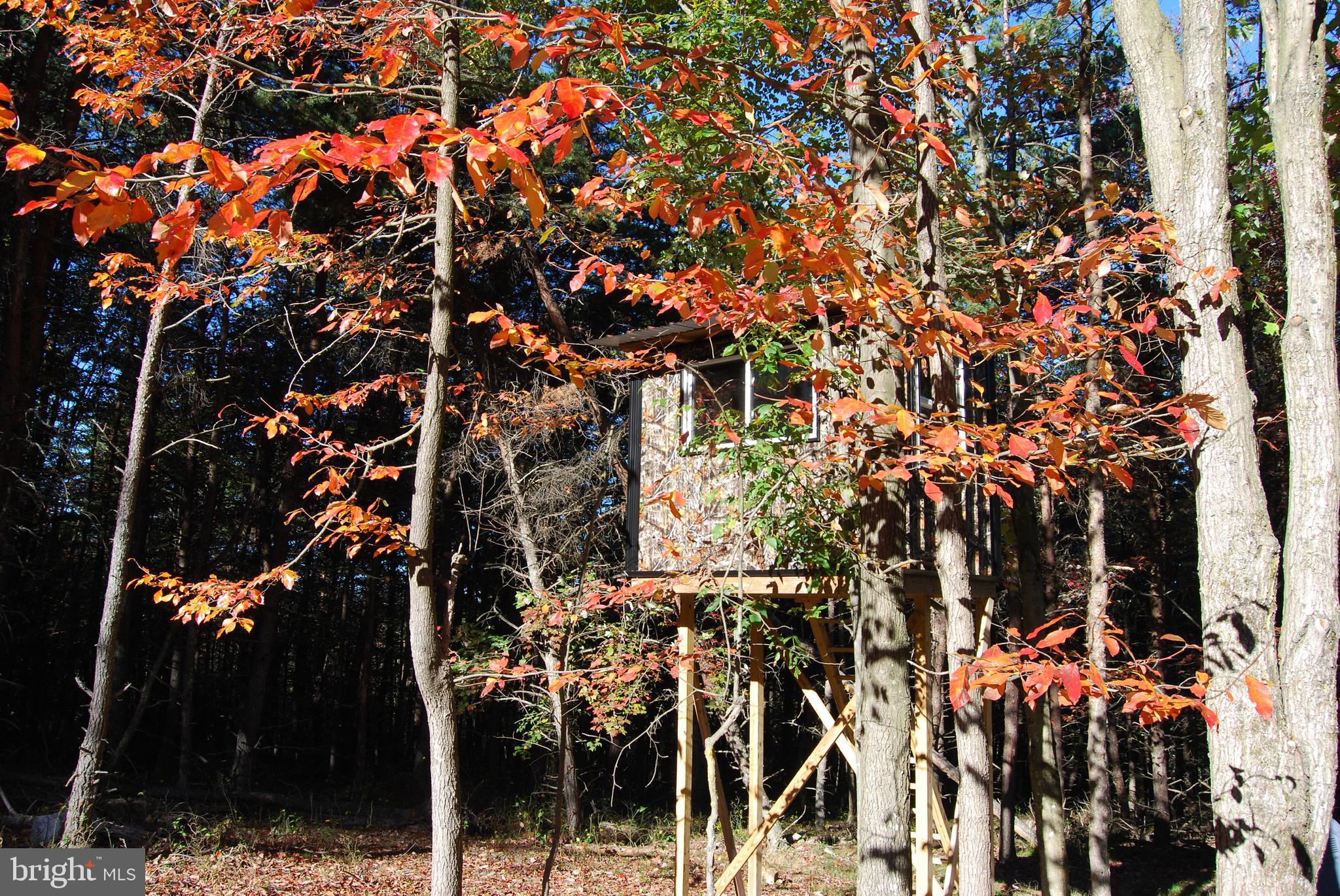 ASHTON WOODS PROPERTY OWNERS ASSOCIATION - Land