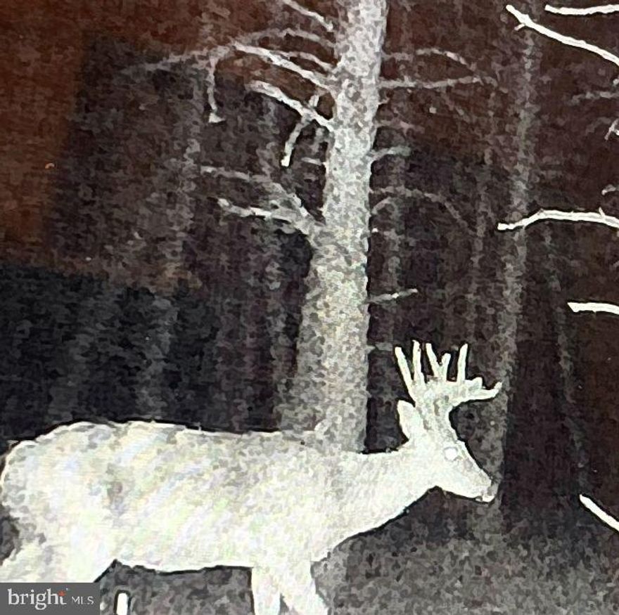 This property has something to offer for everyone, whether you like to hike, hunt, enjoy a campfire, relax in the camper or escape from work. The property sits facing the west, so you can capture those spectacular sunsets over the vast valley below.Do you like to camp but don't like tents? The camper conveys with the sale based on price and features 1 bed and a large kick-out with a couch which could easily sleep 4. The electric is set to a 30 amp draw for the camper but is a 200 amp service.If you enjoy watching wildlife or hunting, then this is where the property really shines. Two custom-built hunting blinds with carpet and sliding windows are already strategically placed to take advantage of the wildlife travel patterns. Oftentimes, you will see a flock of turkeys, the occasional bear and plenty of deer frequent the food plots. The large oak flat in the back of the property is not touched and would make a fantastic location for a tree stand or setup at the base of a tree. The intermittent stream in the valley would be a great location for a dig-out or trough to create a year-round water hole.For the individual looking to build a forever home or weekend escape, this land offers exceptional views. If you removed the hunting blinds, you could build in the small field and see the mountains for miles with proper clearing.