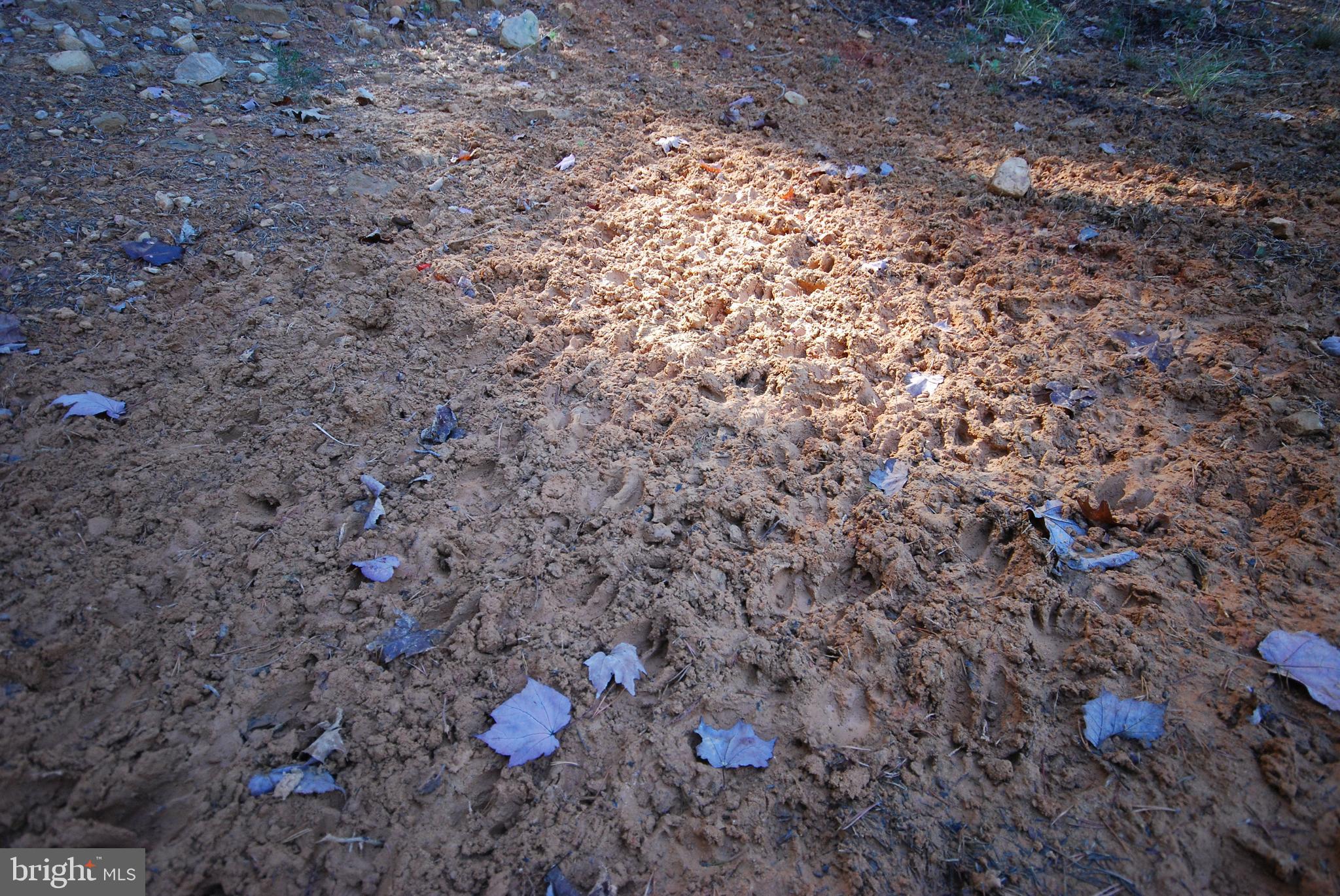 ASHTON WOODS PROPERTY OWNERS ASSOCIATION - Land