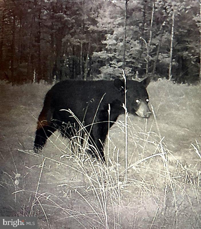 ASHTON WOODS PROPERTY OWNERS ASSOCIATION - Land