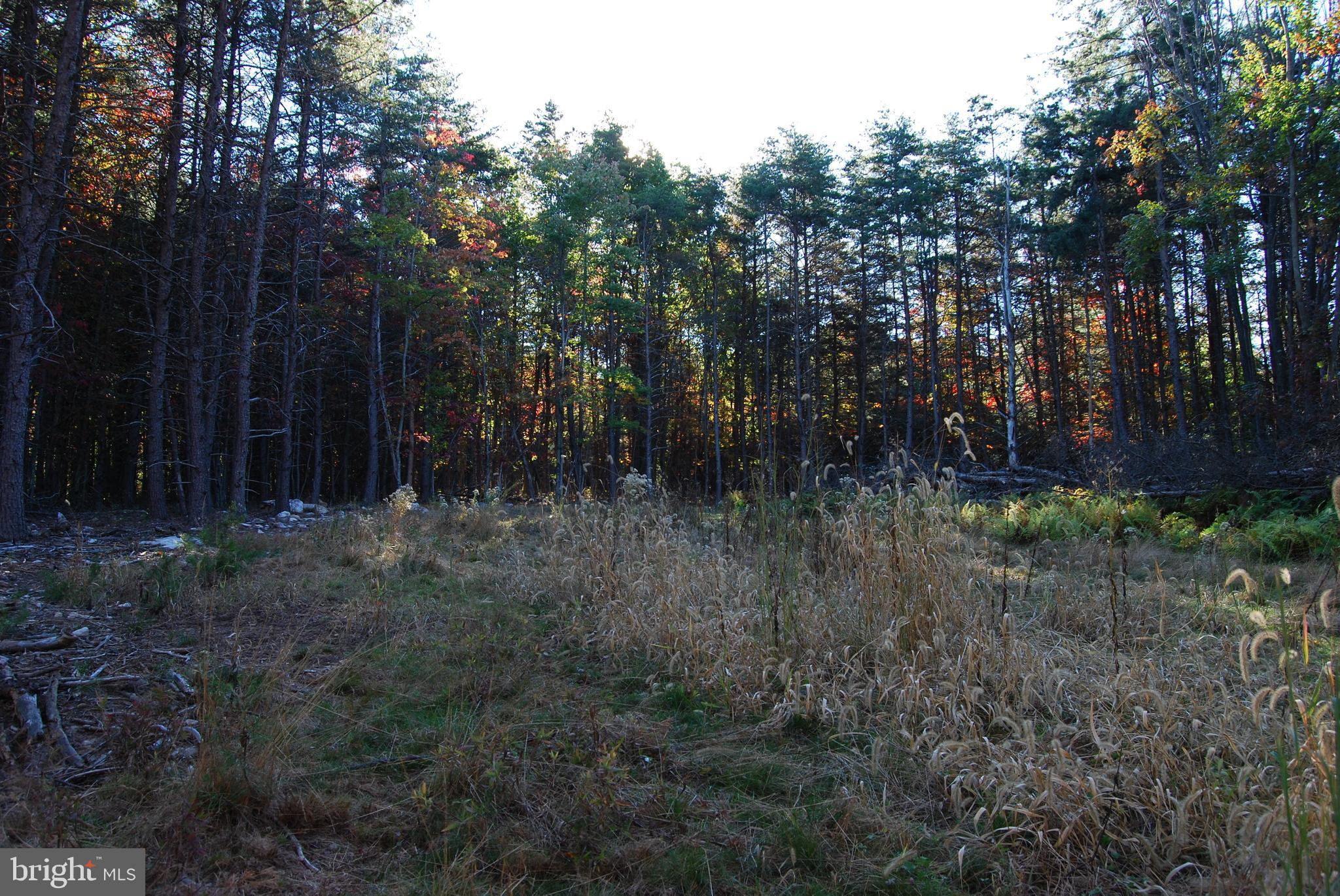 ASHTON WOODS PROPERTY OWNERS ASSOCIATION - Land