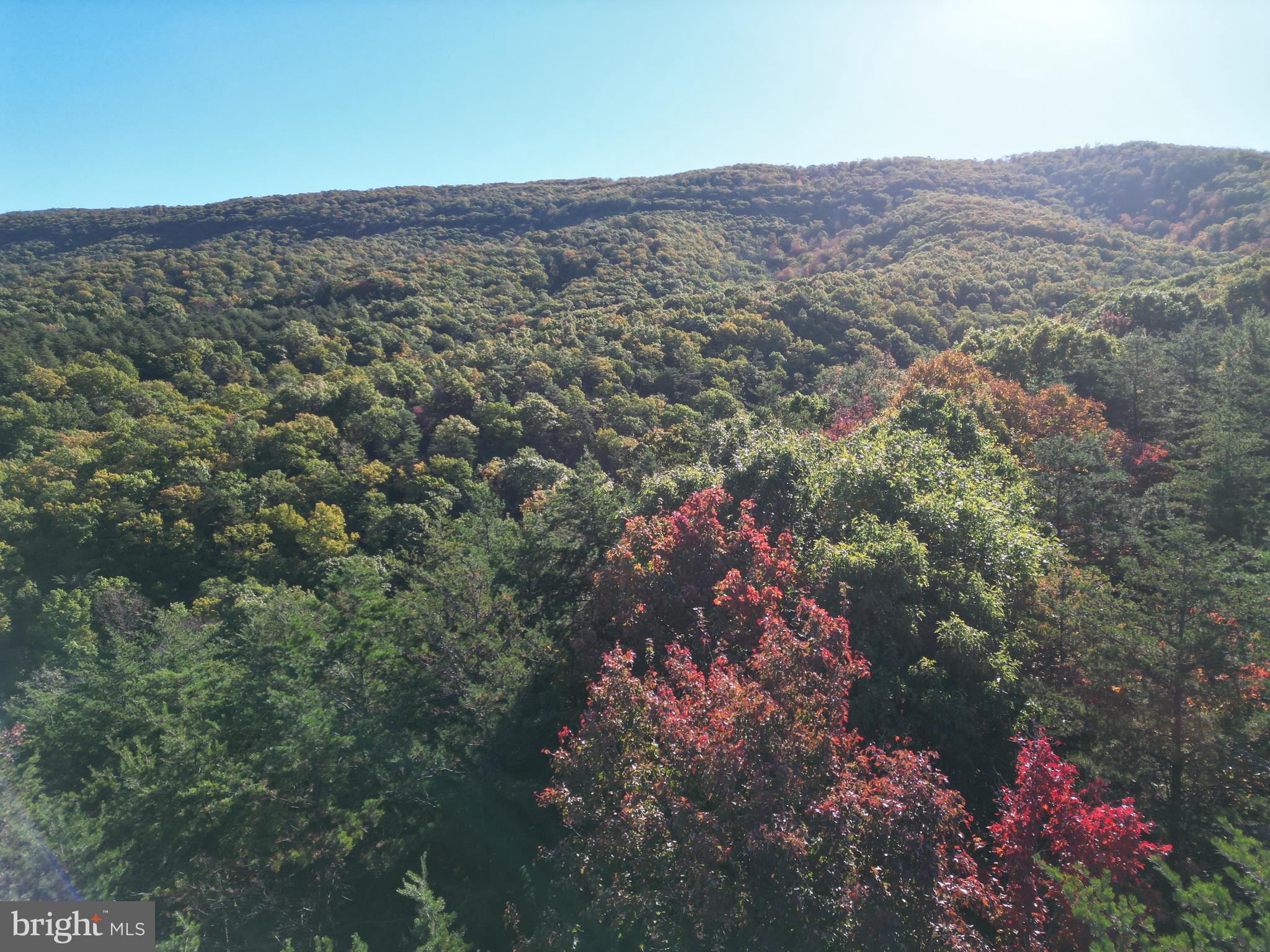 ASHTON WOODS PROPERTY OWNERS ASSOCIATION - Land