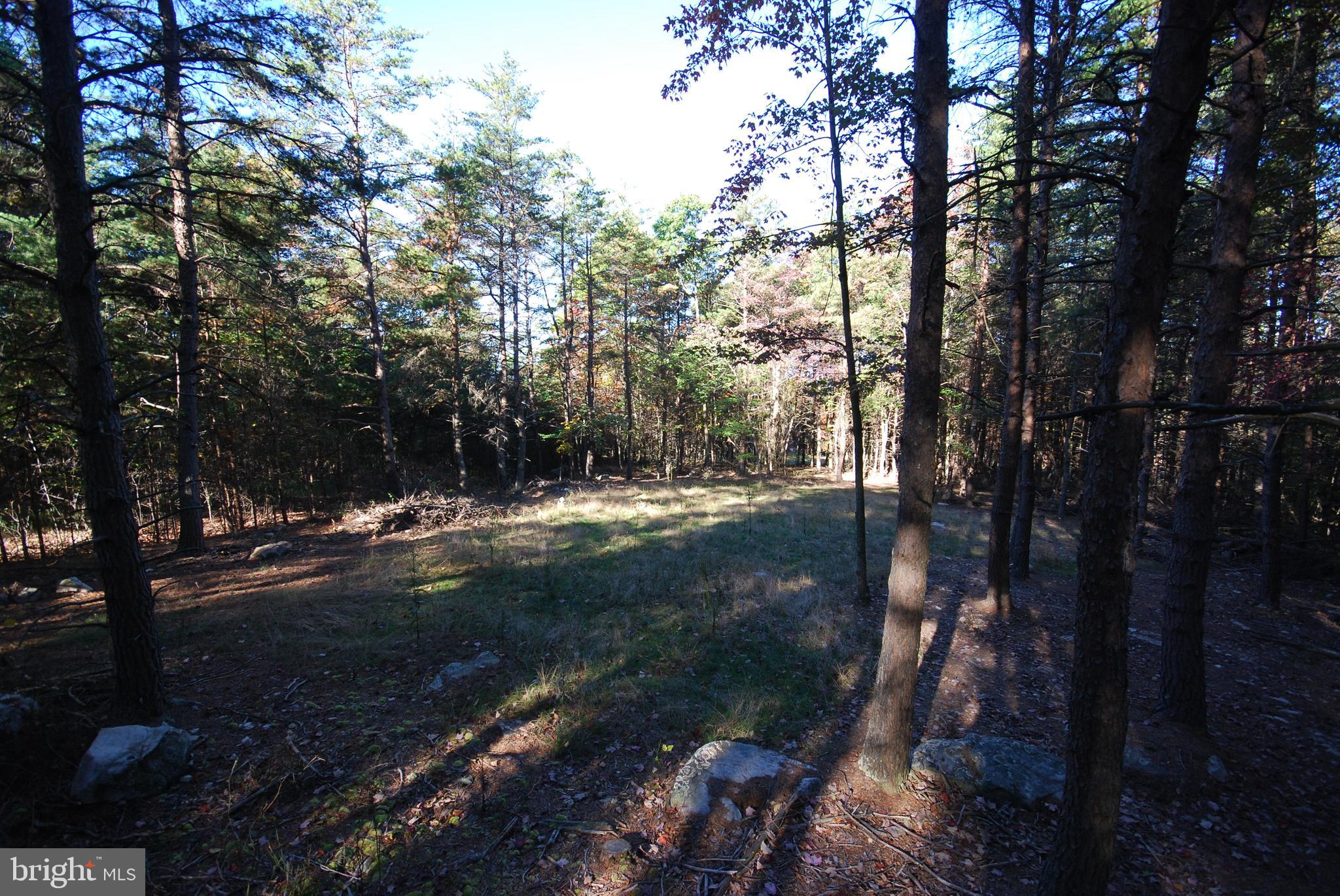 ASHTON WOODS PROPERTY OWNERS ASSOCIATION - Land