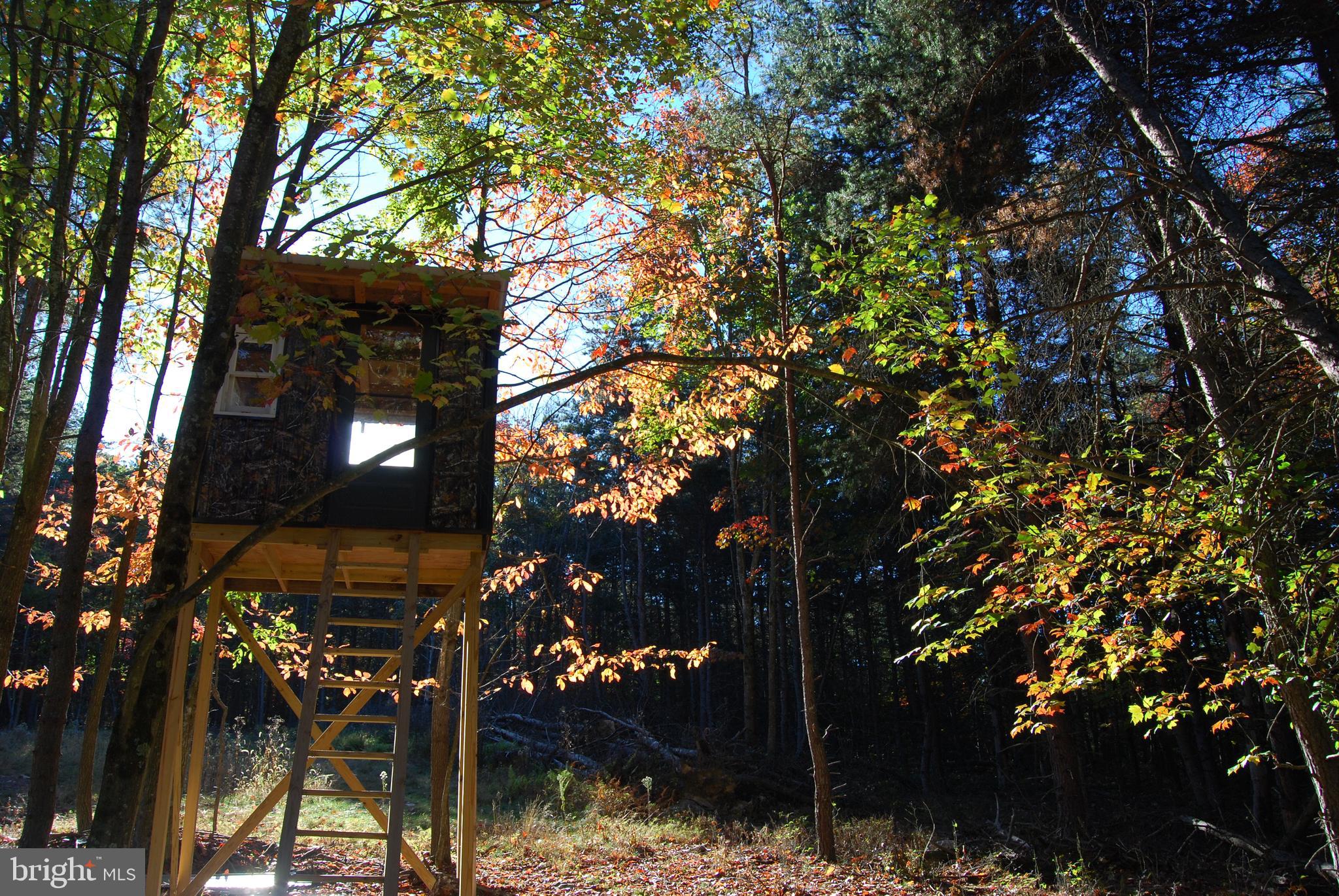 ASHTON WOODS PROPERTY OWNERS ASSOCIATION - Land