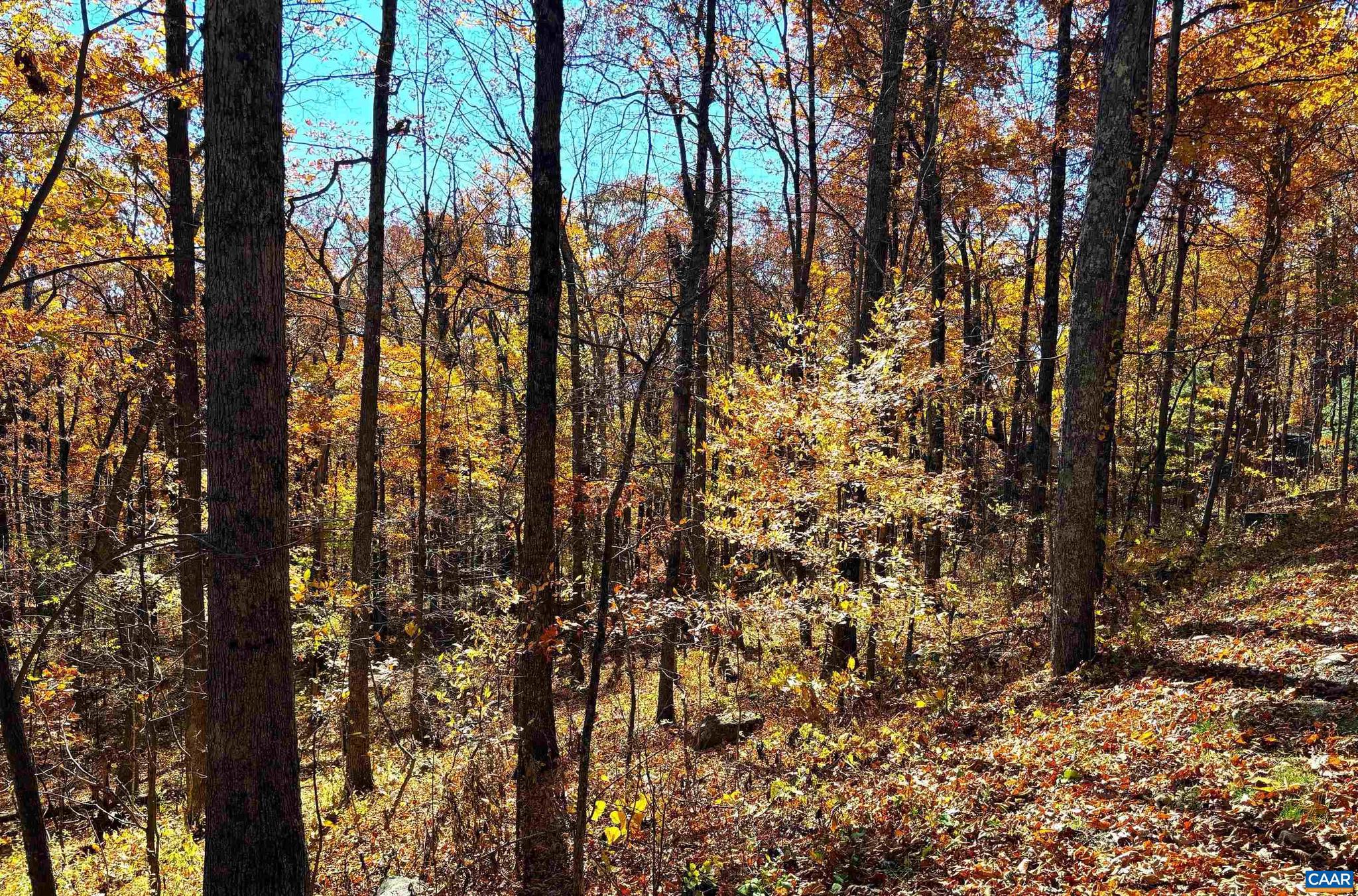 Fantastic wooded, one-acre homesite waiting for your dream home. Location is perfect as you can walk to the Mountain Village and Ski slopes or step out of your back door and hop on the Wintergreen hiking trail network. Nice common area behind the homesite provides wooded privacy. First on, First off the mountain adds to the convenience of heading to Stoney Creek or to the infamous Nelson 151 Wine/Brew/Cider Trail. Come experience all Wintergreen Resort and Nelson County have to offer.