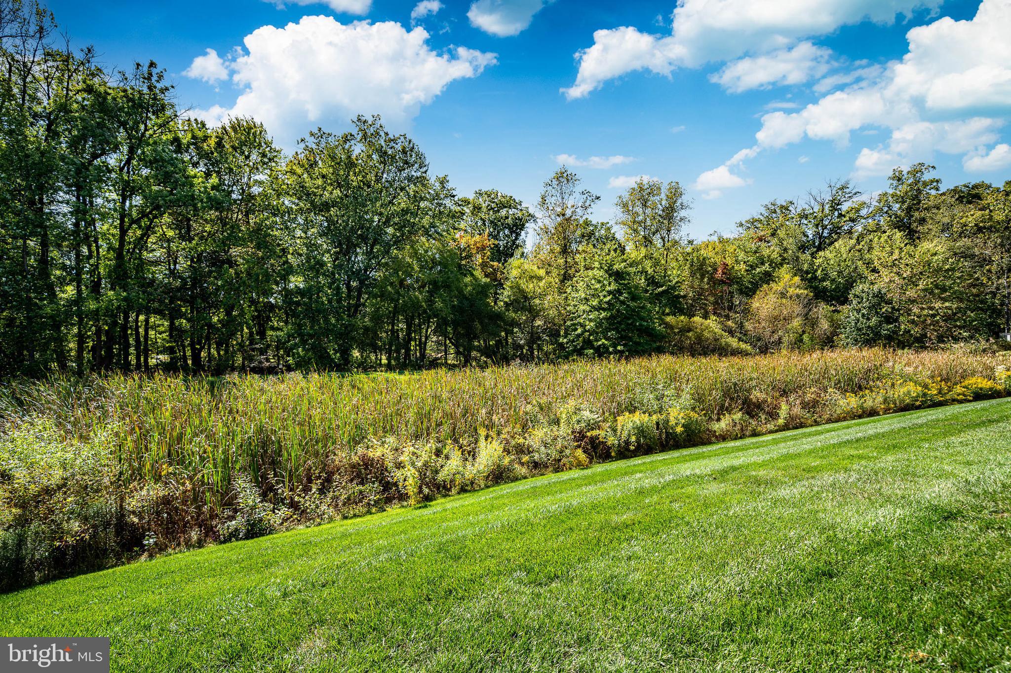 ARBOURS AT W GOSHEN - Residential