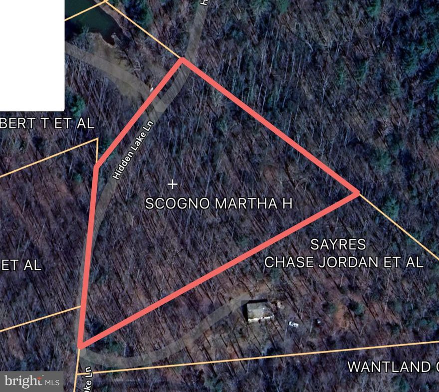 Tucked away from the road, this 3-acre parcel offers a peaceful, wooded setting with a natural mix of mature trees and gently rolling terrain. The land remains untouched, offering a blank canvas for your ideas—whether it's a future home site, a weekend retreat, or simply a place to get away and enjoy some quiet. Easy access to the main road, but far enough to feel private. No HOA, no restrictions—just possibilities.