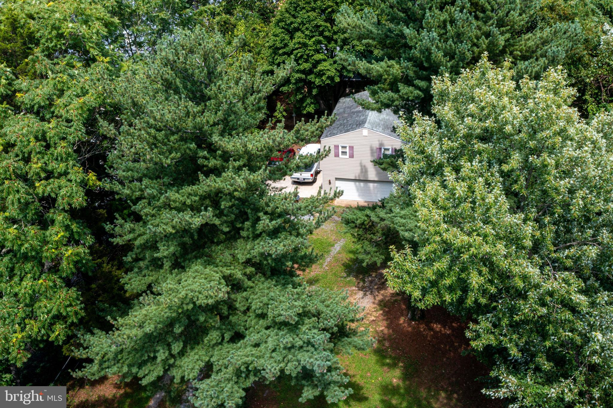 MAGO VISTA - Residential