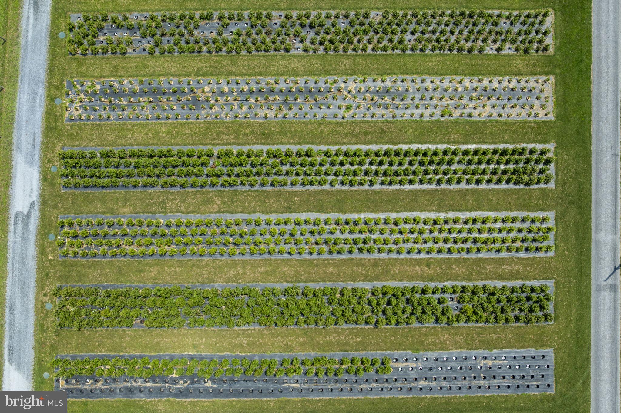 CAERNARVON TWP - Residential