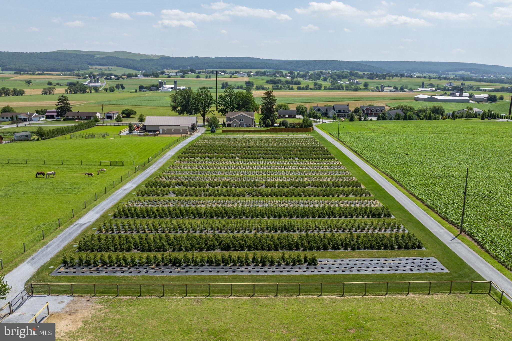 CAERNARVON TWP - Residential