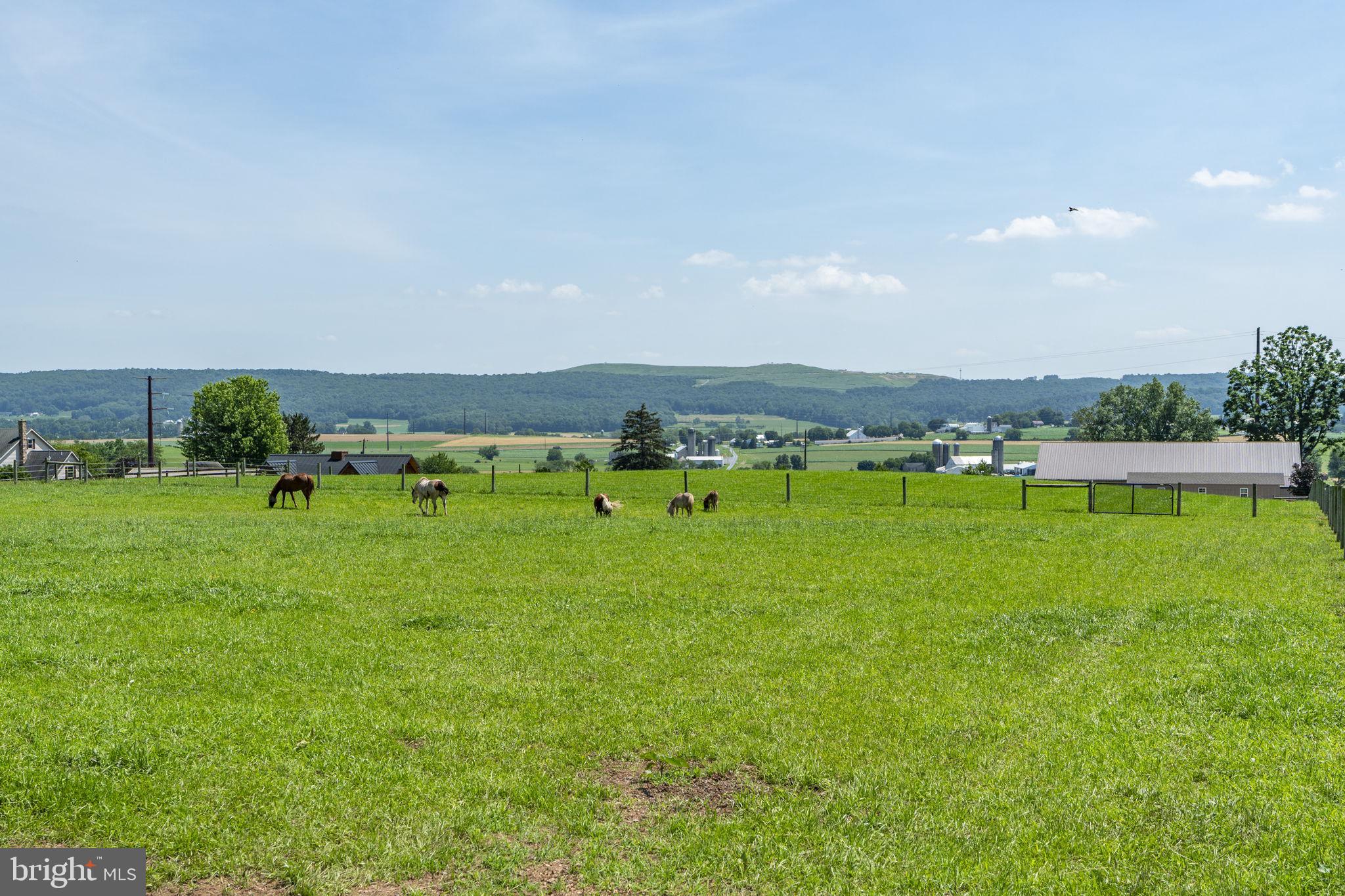 CAERNARVON TWP - Residential