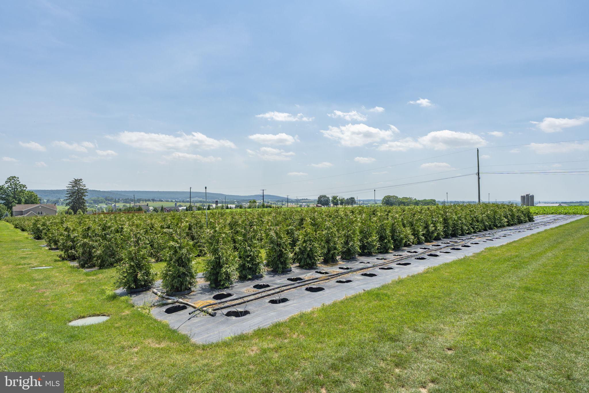 CAERNARVON TWP - Residential