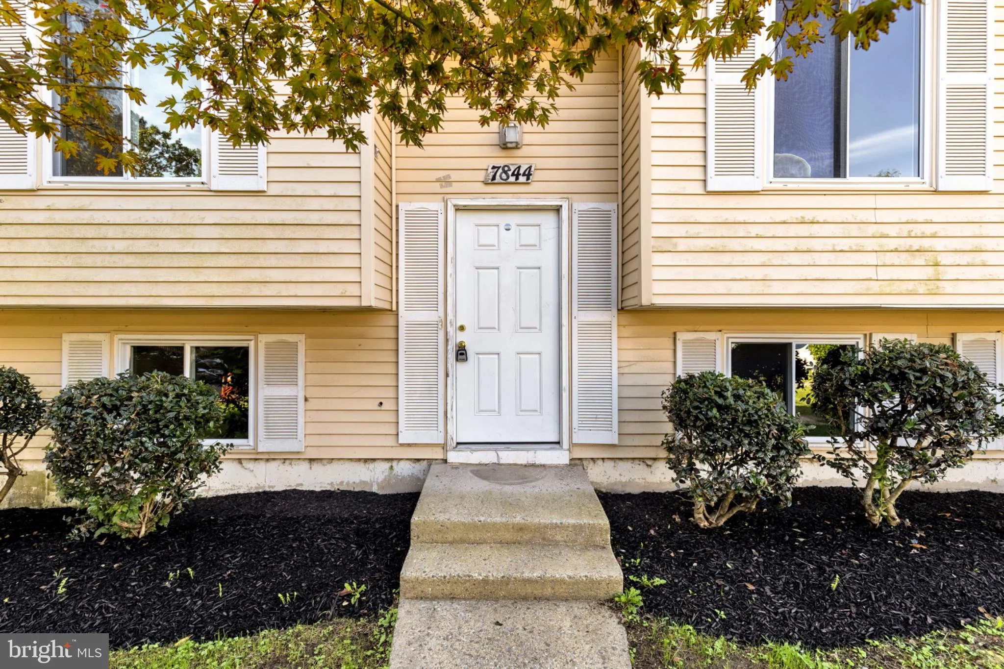 7844 Mineral Drive