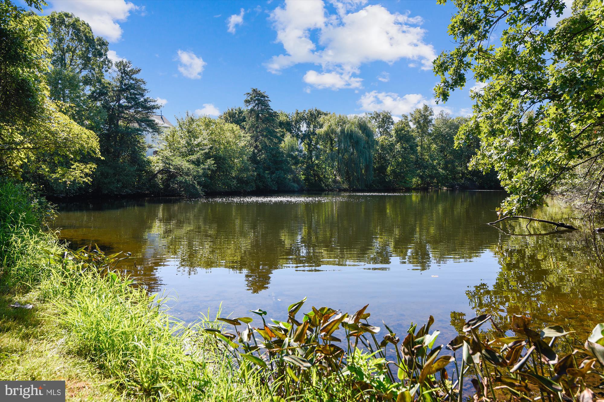 DOMINION STATION - Residential