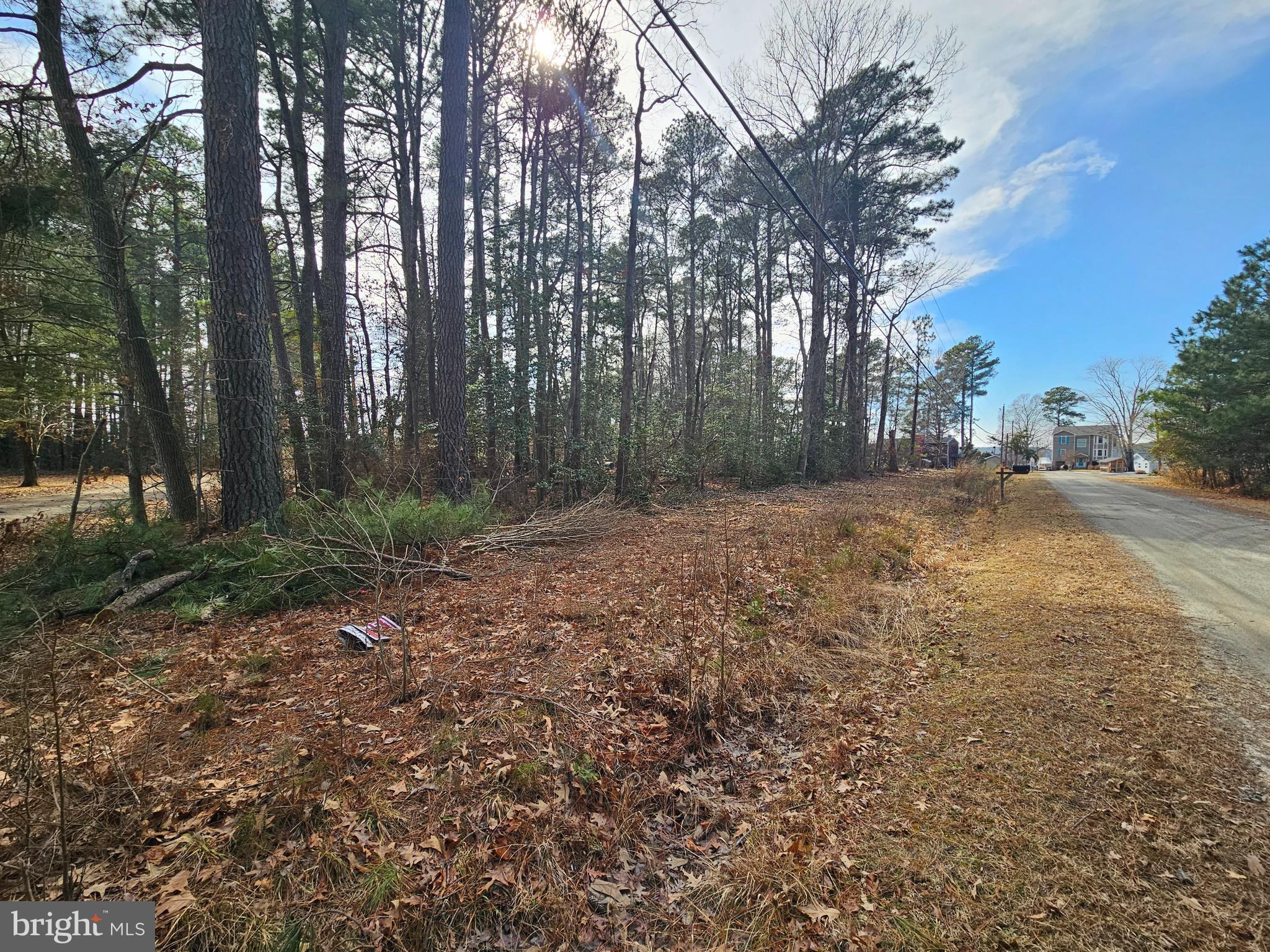 Lots 135-139 LONG STREET - Photo 2