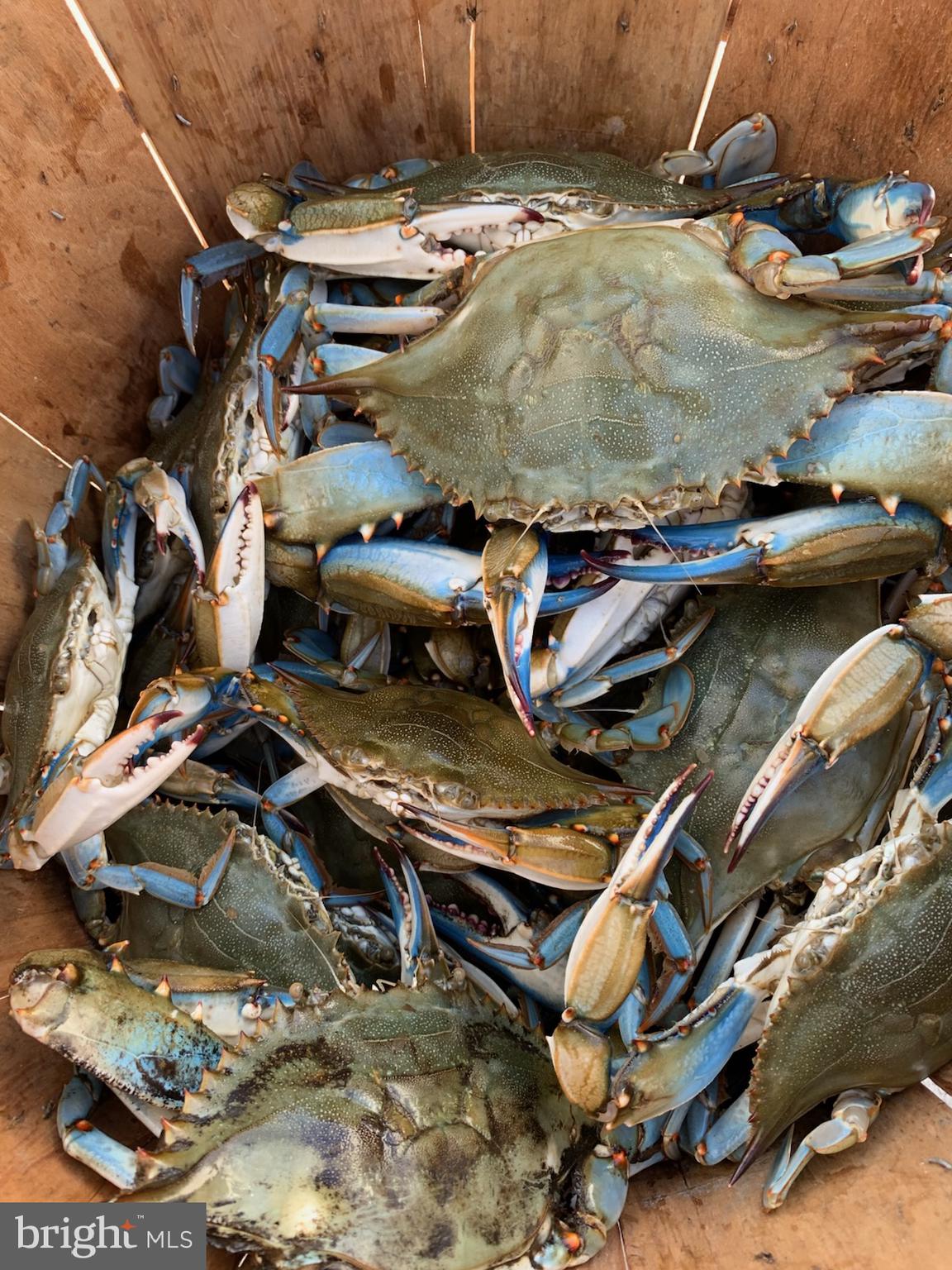 SOUTHWIND - Residential