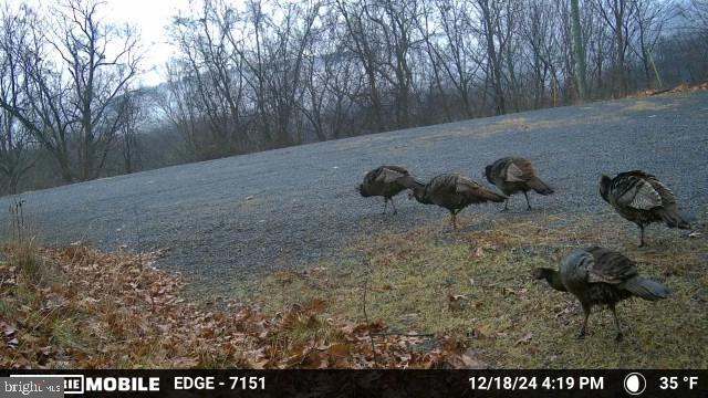 HAMILTON ESTATES - Land