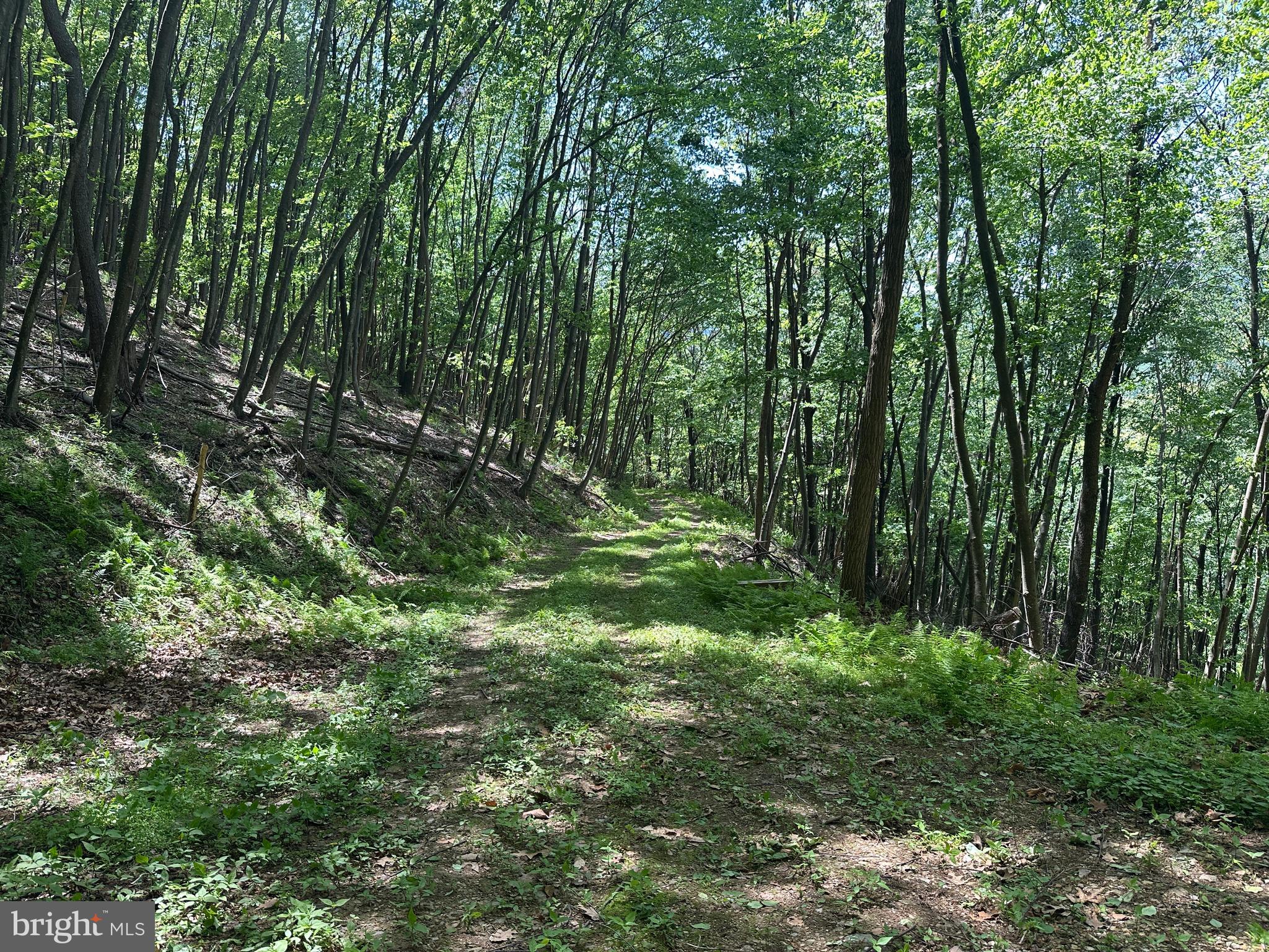 HAMILTON ESTATES - Land